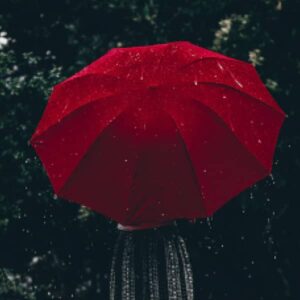 Umbrella