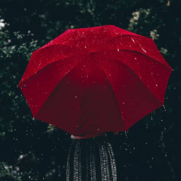 Umbrella
